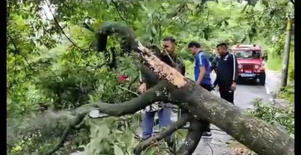 मसूरी हाथीपांव रोड पर पेड़ गिरने से हुआ मार्ग बंद। NIU मसूरी हाथीपांव रोड पर पेड़ गिरने से हुआ मार्ग बंद। NIU