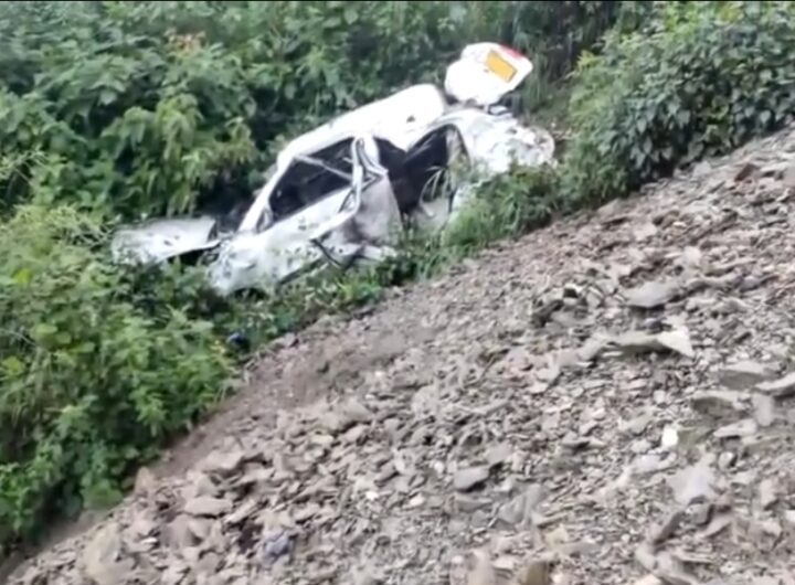 गहरी खाई में गिरी बोलेरो कार, रातभर जिंदगी मौत से लड़ता रहा चालक। NIU