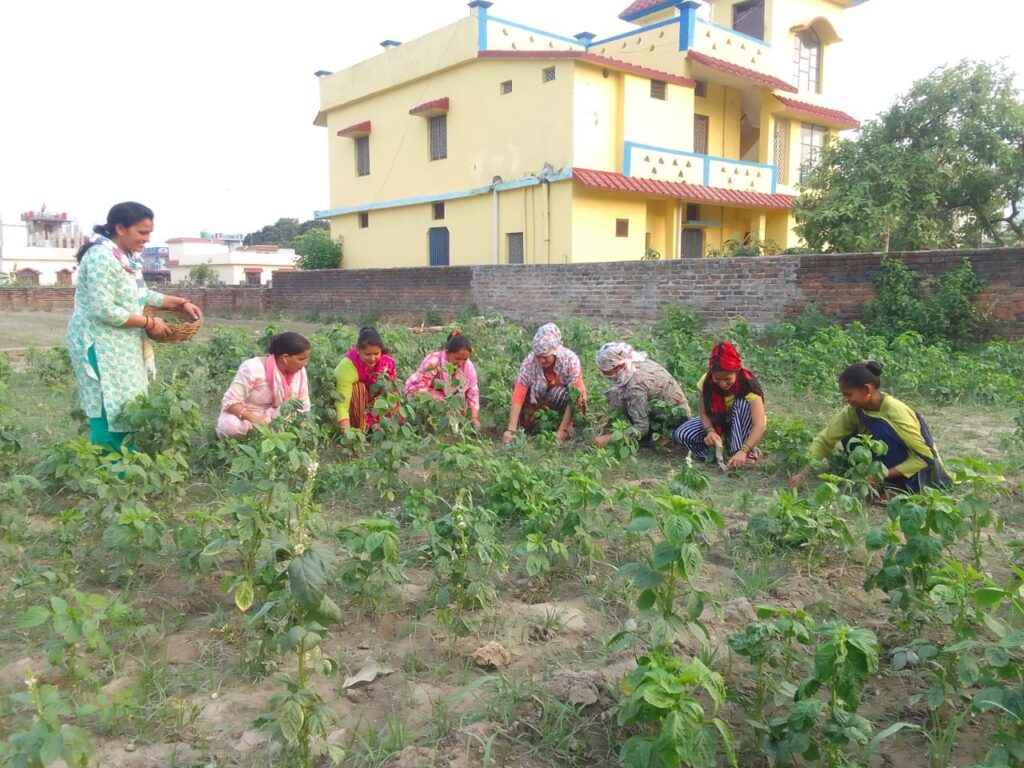 छिददरवाला क्षेत्र की महिलाओं ने  स्वयं सहायता समूह से जुडकर  खड़ा किया खुद का रोजगार, बनीं आत्मनिर्भर l NIU