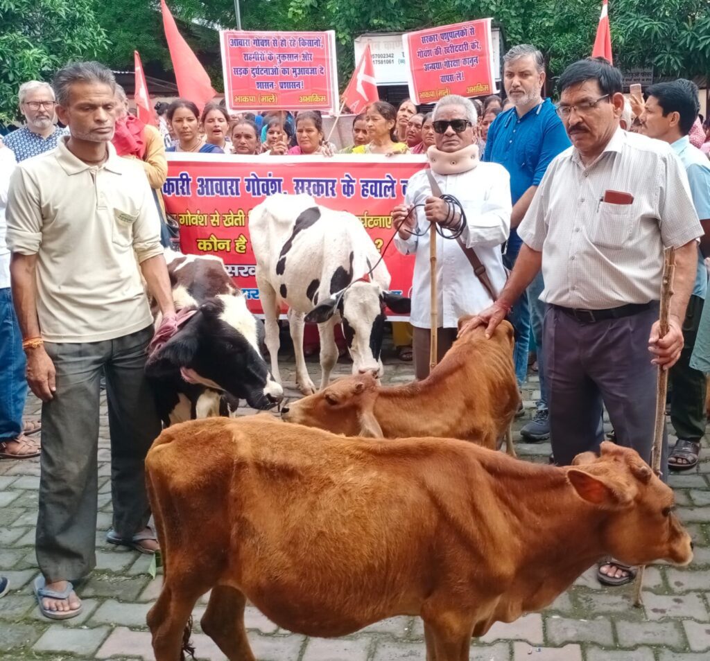 ग्रामीणों ने आवारा गाय बैलों को तहसील लालकुआं में बांधा, सरकार पशुपालकों से गोवंश की खरीददारी करे, अन्यथा गौरक्षा कानून वापस ले : आनन्द सिंह नेगी | NIU ग्रामीणों ने आवारा गाय बैलों को तहसील लालकुआं में बांधा, सरकार पशुपालकों से गोवंश की खरीददारी करे, अन्यथा गौरक्षा कानून वापस ले : आनन्द सिंह नेगी | NIU