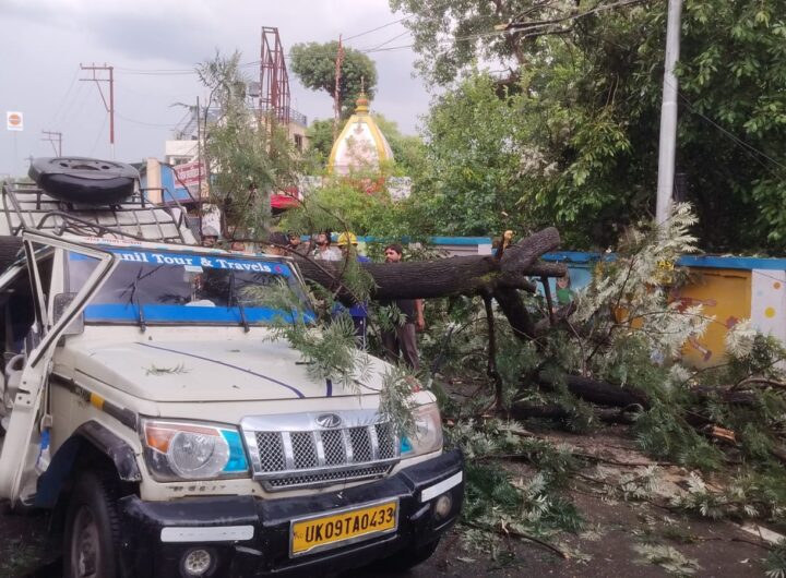दुखद: बरसात में मैक्स गाड़ी पर गिरा पेड़, मौके पर ही हुई एक की मौत, जानिए कहां का था युवक। NIU