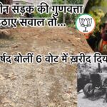 सत्ता की हनक में चूर भाजपा पार्षद, बोलीं 6 वोट में ख़रीद लिया क्या ? पढ़ें पूरी खबर । NIU