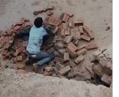 ईंट भट्ठे में घुसा तेंदुआ — युवक ने दिखाई बहादुरी, ग्रामीणों ने बरसाए पत्थर, फिर भी किया हमला