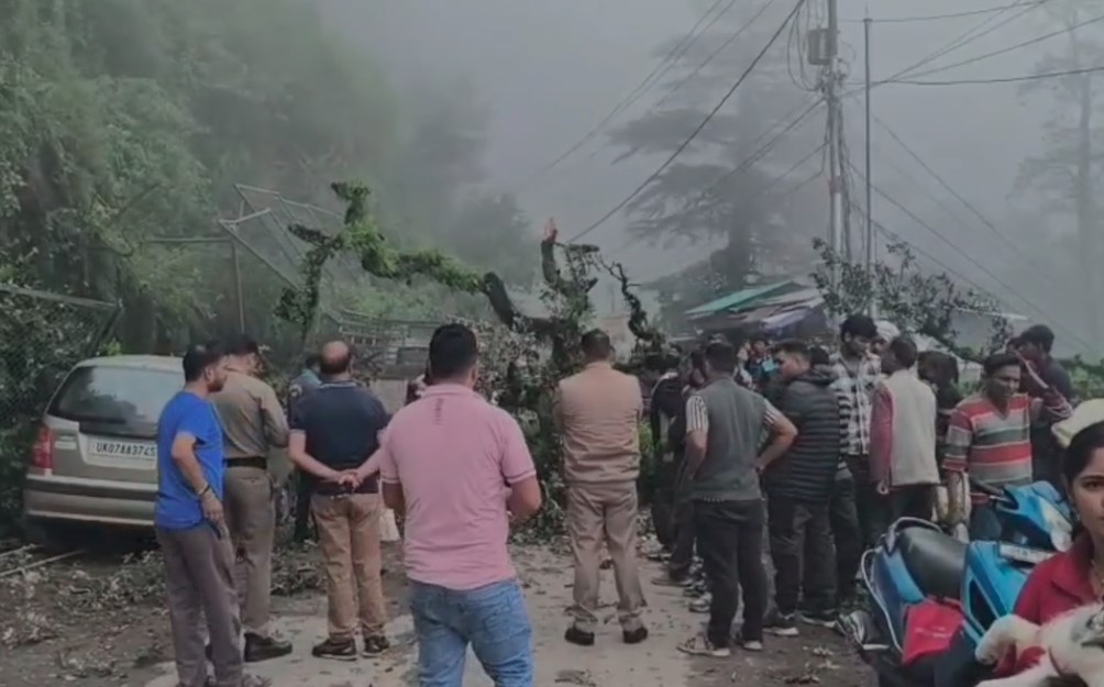 मसूरी में बड़ा हादसा टला, बस स्टैंड के पास गिरा विशाल पेड़, कार और स्कूटी दबी, बाल बाल बचे लोग