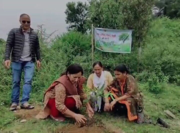 मसूरी में हरेला पर्व पर पौधारोपण अभियान, जनता से अपील – पौधों की करें देखभाल