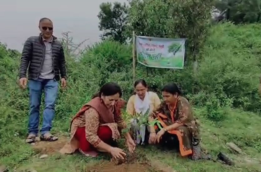 मसूरी में हरेला पर्व पर पौधारोपण अभियान, जनता से अपील – पौधों की करें देखभाल