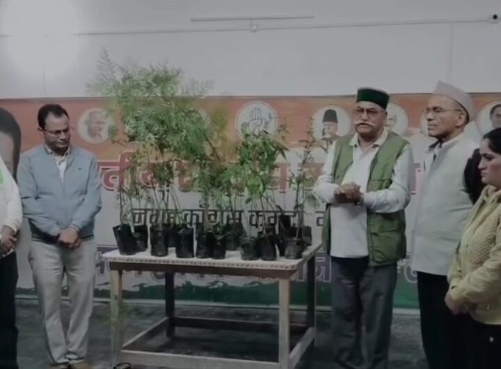 मसूरी में हरेला पर्व बना हरियाली का संकल्प, मसूरी में बांटे गए पौधे, उठे पर्यावरण संरक्षण के स्वर