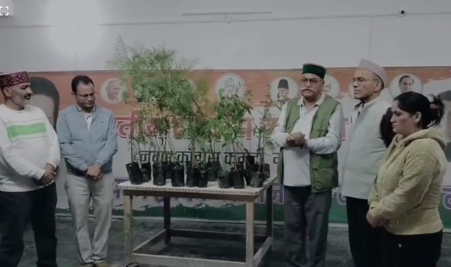 मसूरी में हरेला पर्व बना हरियाली का संकल्प, मसूरी में बांटे गए पौधे, उठे पर्यावरण संरक्षण के स्वर