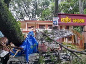 बरसात का तांडव: यहां कचहरी परिसर स्थित शहीद स्मारक के पास गिरा विशालकाय पेड़, स्टांप विक्रेता की स्टॉल हुई ध्वस्त । NIU