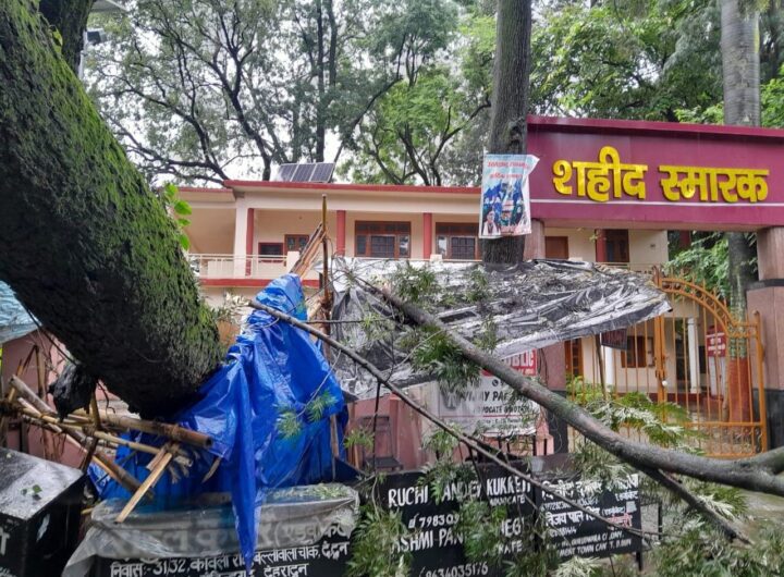 बरसात का तांडव: यहां कचहरी परिसर स्थित शहीद स्मारक के पास गिरा विशालकाय पेड़, स्टांप विक्रेता की स्टॉल हुई ध्वस्त । NIU