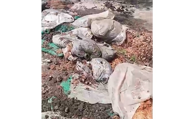 चकजोगीवाला की कच्ची सड़क पर मशरूम फैक्ट्री के वाहनों से गंदगी, लोगों में आक्रोश चकजोगीवाला की कच्ची सड़क पर मशरूम फैक्ट्री के वाहनों से गंदगी, लोगों में आक्रोश