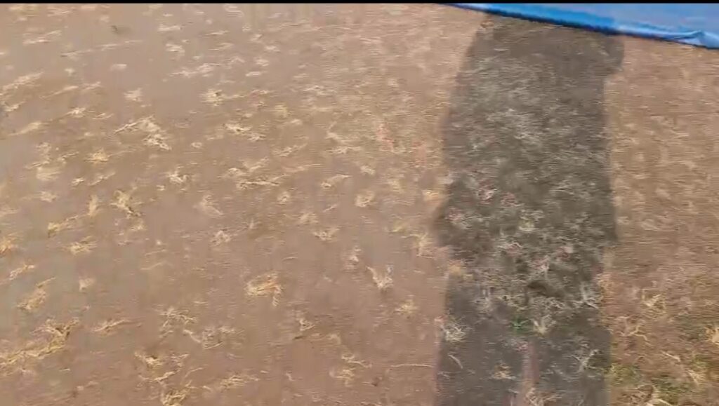 सफेद हाथी साबित हुआ राजीव गाँधी इंटरनेशनल क्रिकेट स्टेडियम, उत्तराखंड से छिनी रणजी ट्रॉफी सेमीफाइनल की मेजबानी l NIU